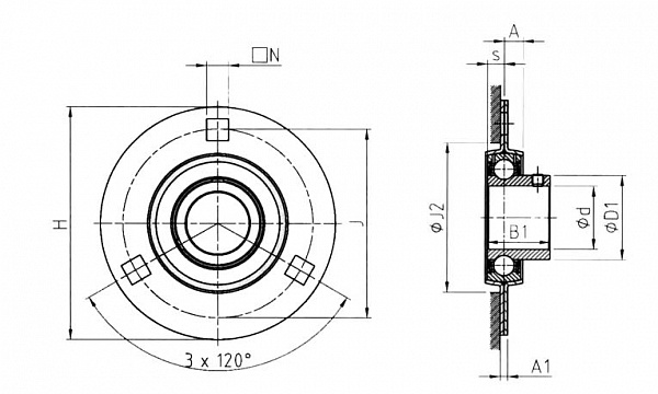 RAY 15