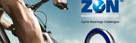 ZON Bearings